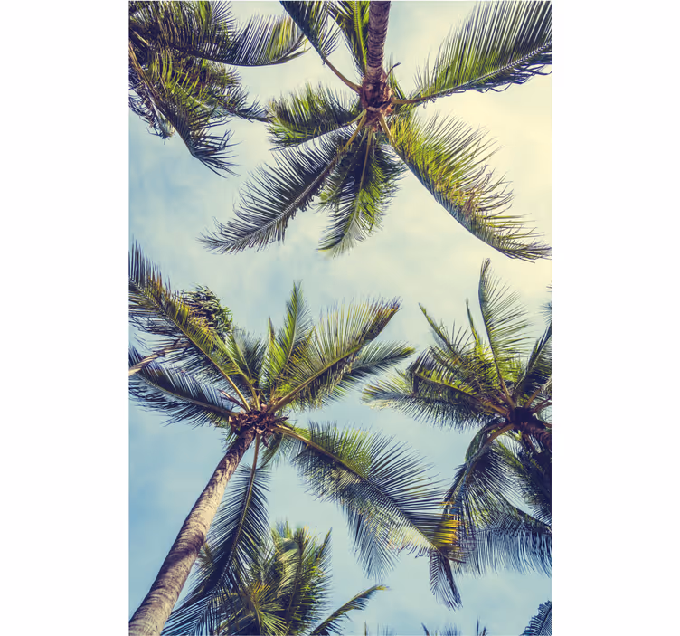 Toile fenêtre arbre canopée luxuriante de palmiers - TenStickers