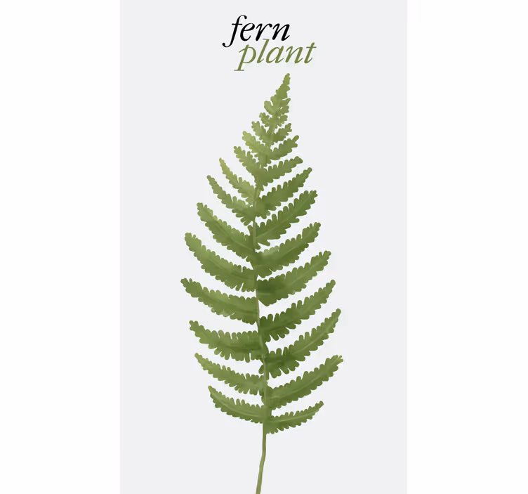 Stores avec phrases Fougère plante minimaliste - TenStickers