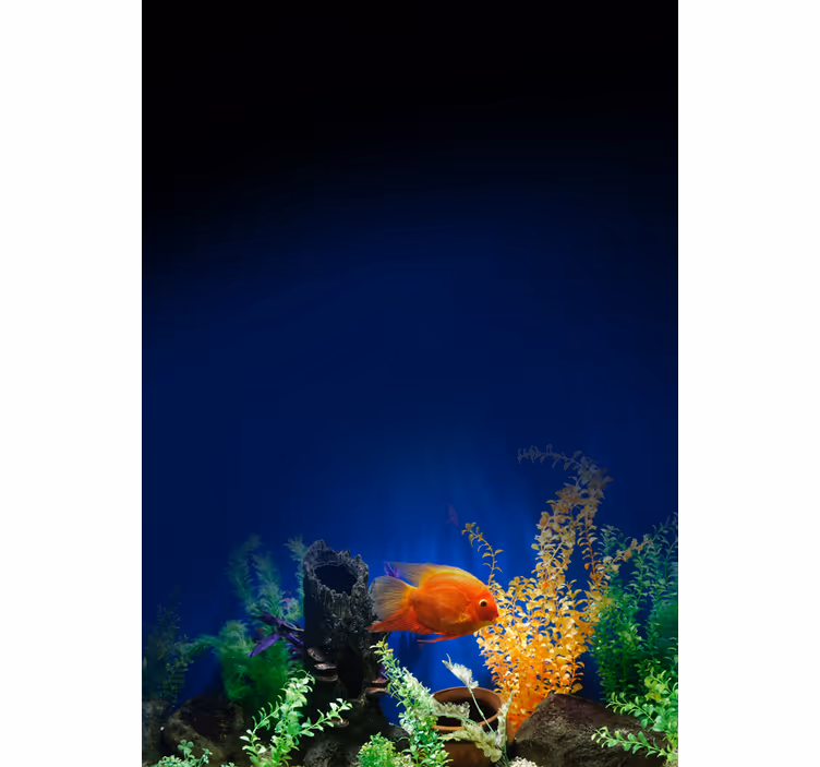 Stores avec plus d'animaux Vie d'aquarium - TenStickers