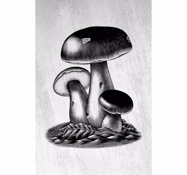 Toile fenêtre fleurs et plantes l'élégance des champignons - TenStickers