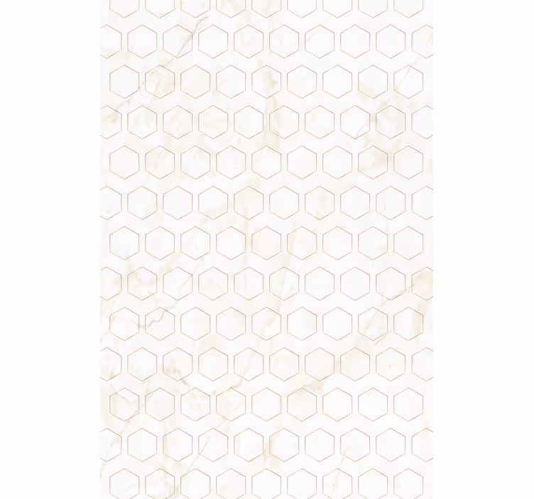 Toile fenêtre textures et motifs motif hexagonal géométrique - TenStickers