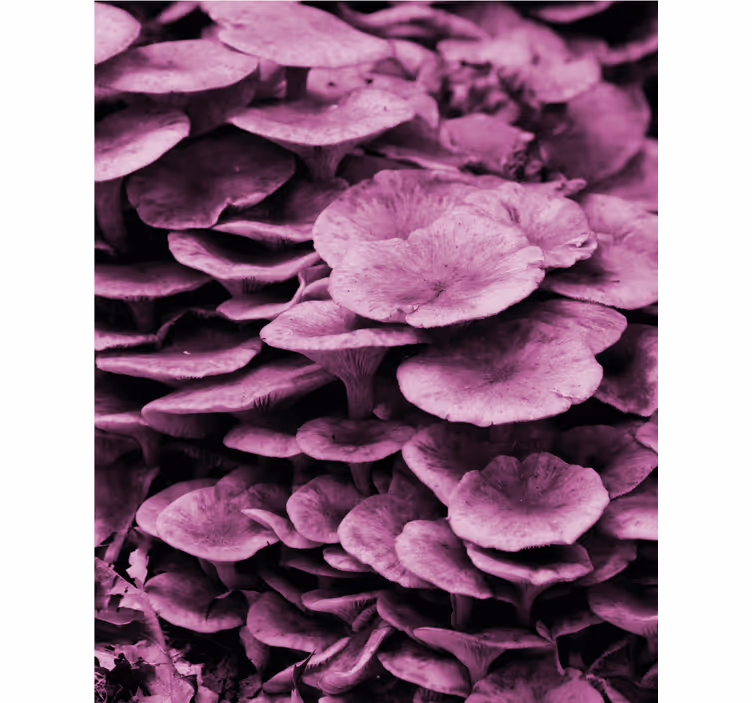 Toile fenêtre fleurs et plantes couches florales vibrantes - TenStickers