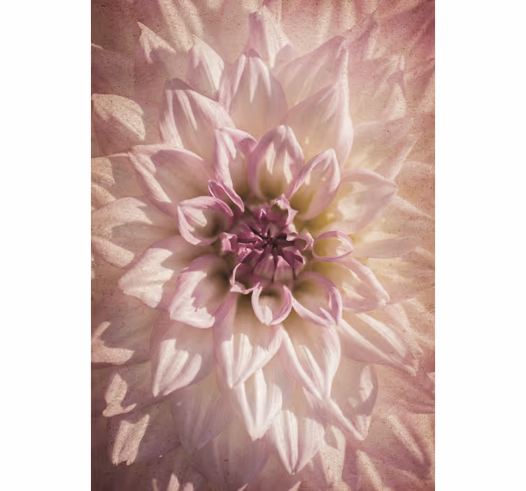Toile fenêtre fleurs et plantes floraison délicate - TenStickers