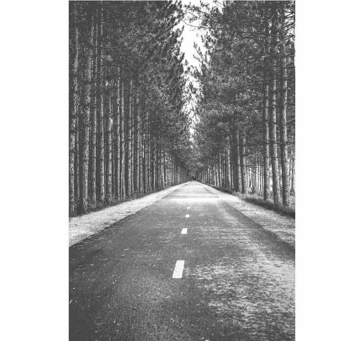 Toile fenêtre sentier forestier serein - TenStickers