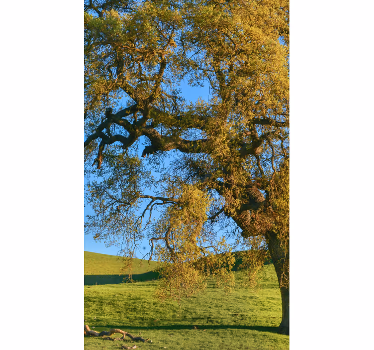 Stores salon Conception d'arbre de nature 3d - TenStickers