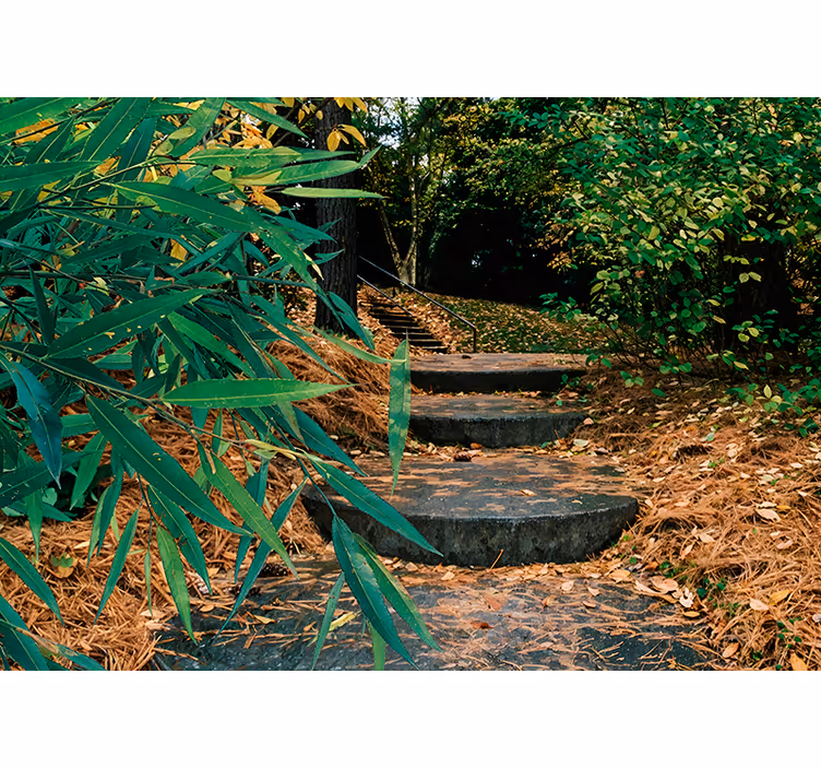 Stores originaux Forêt 3d et petit escalier - TenStickers