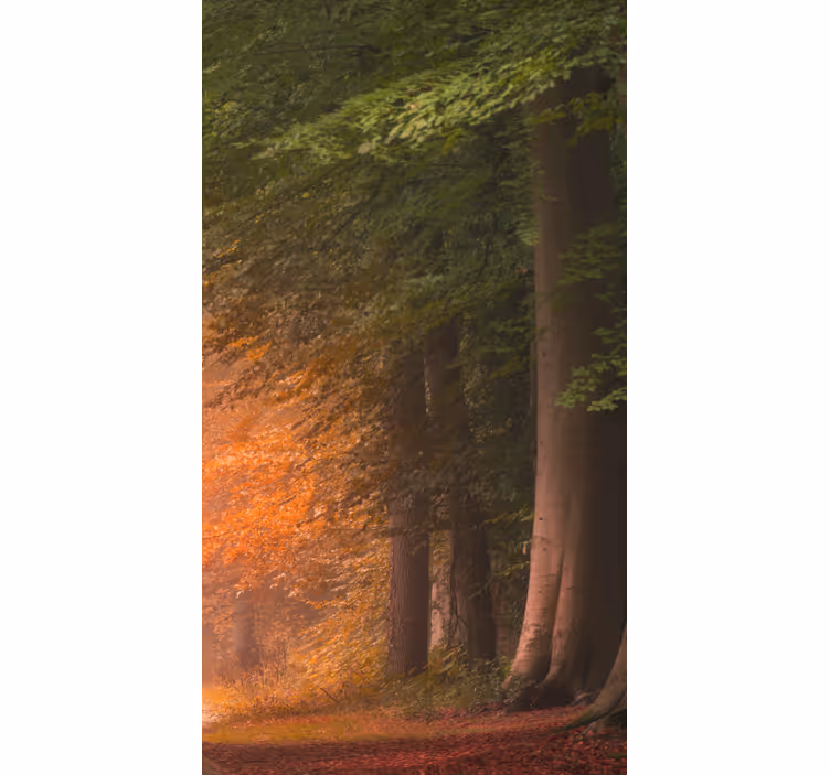 Stores originaux Profonde forêt fantastique - TenStickers