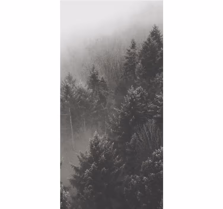 Toile fenêtre arbre silhouette de forêt grise - TenStickers