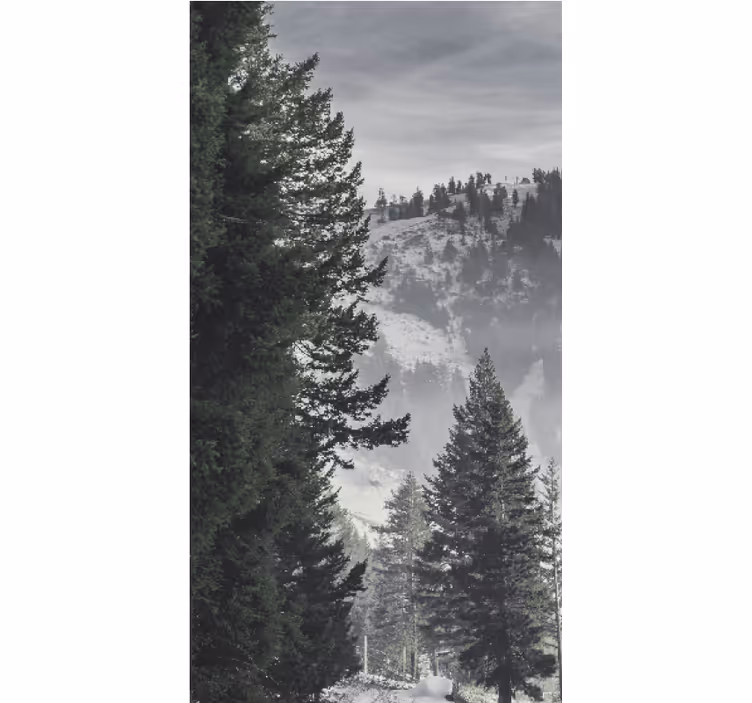 Stores originaux Forêt verte de montagne - TenStickers