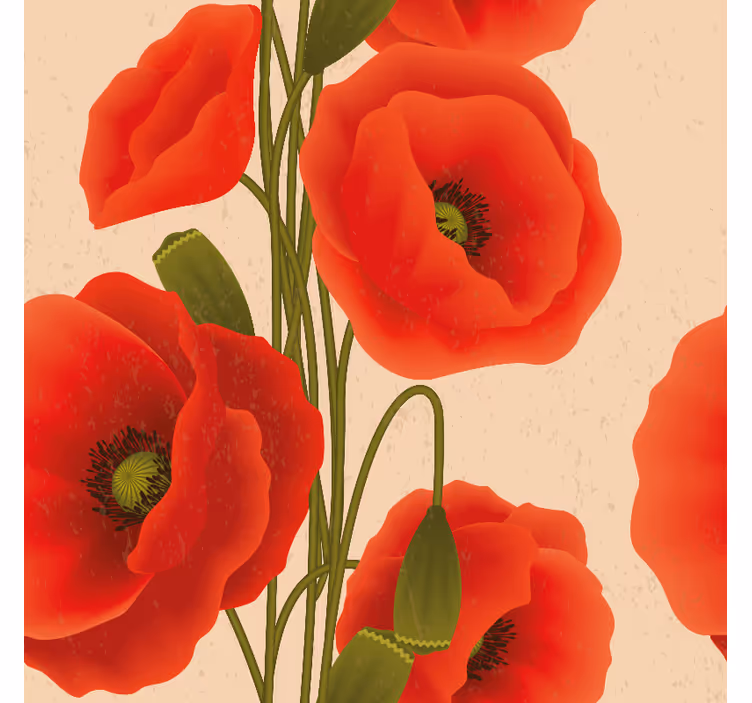 Store fleurs coquelicots rouges - TenStickers