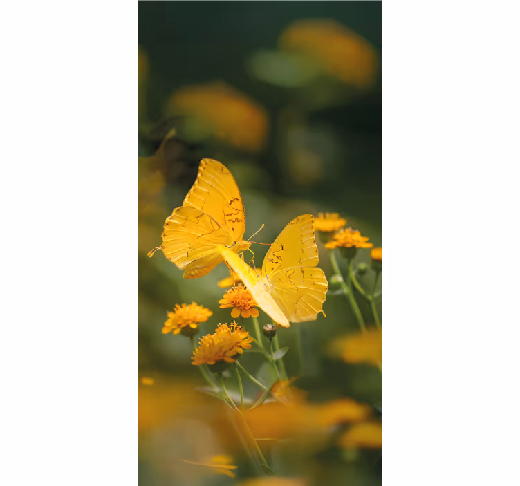Toile fenêtre papillon ailes jaunes réalistes - TenStickers