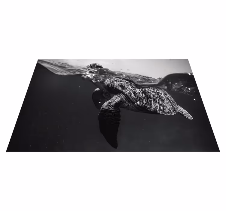 Set de table scène sous-marine de tortues - TenStickers