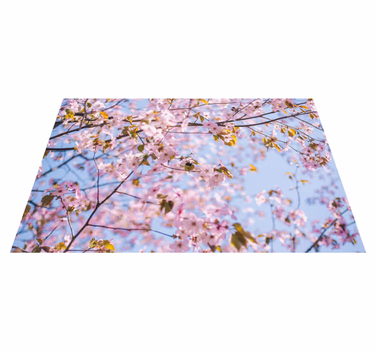 Set de table fleurs de cerisier en pleine floraison - TenStickers