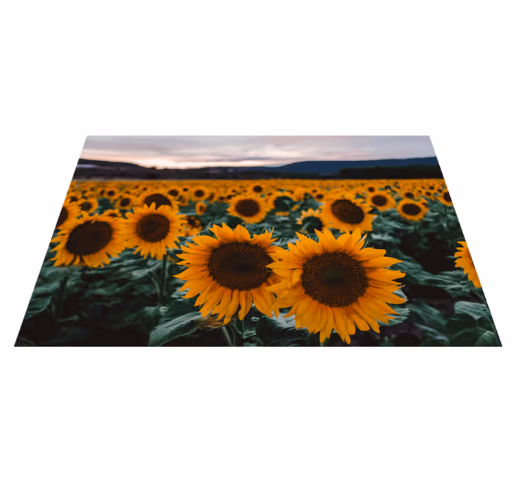 Set de table original vue sur un champ de tournesols - TenStickers