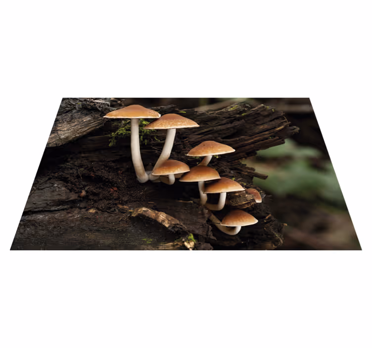 Set de table design bois Champignons sur un tronc d'arbre - TenStickers