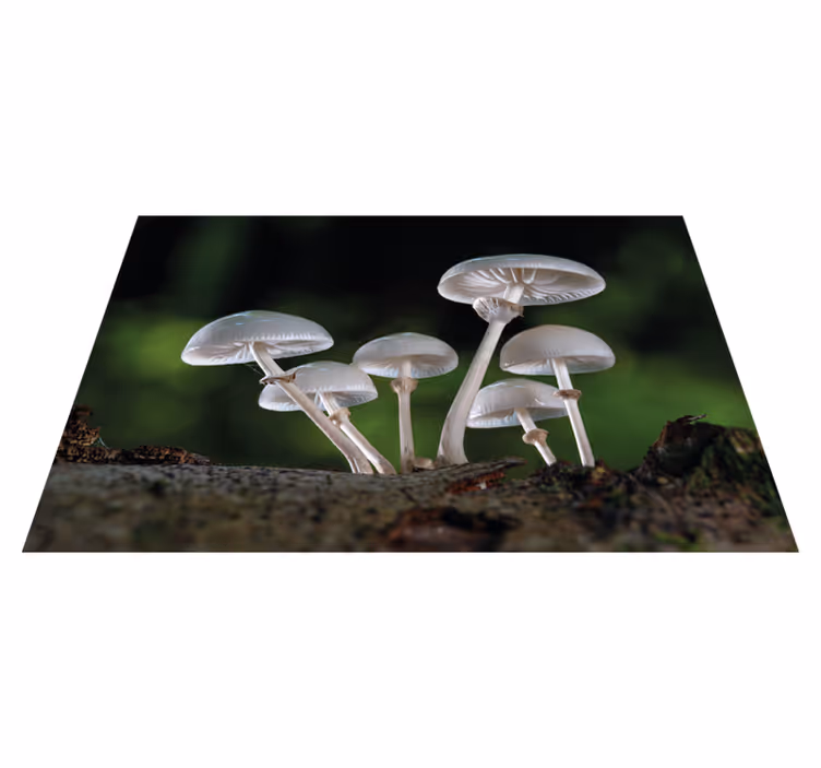 Set de table original couverts en bois vintage - TenStickers