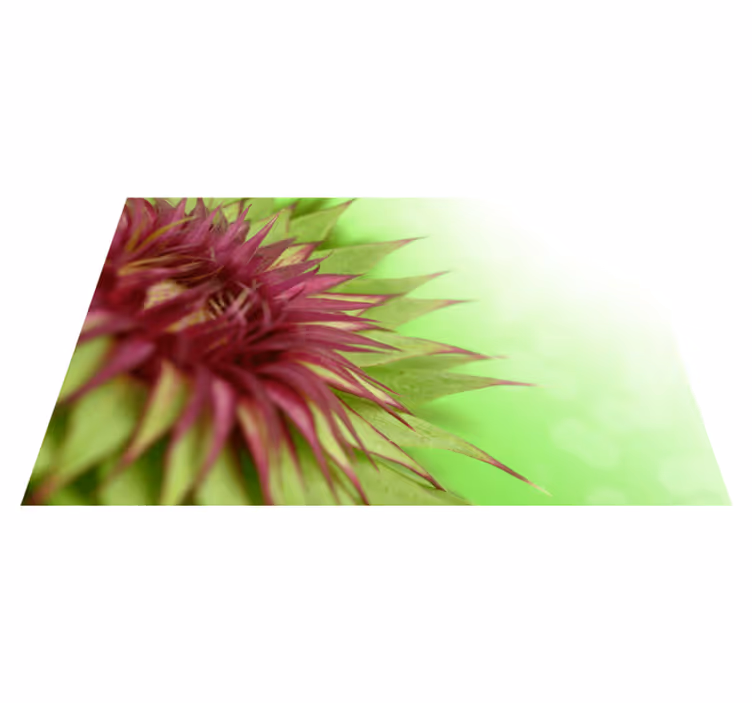 Set de table design chardon fond vert - TenStickers