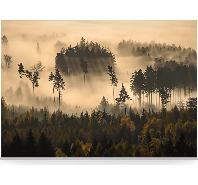 Tapisserie forêt brume éthérée du matin - TenStickers