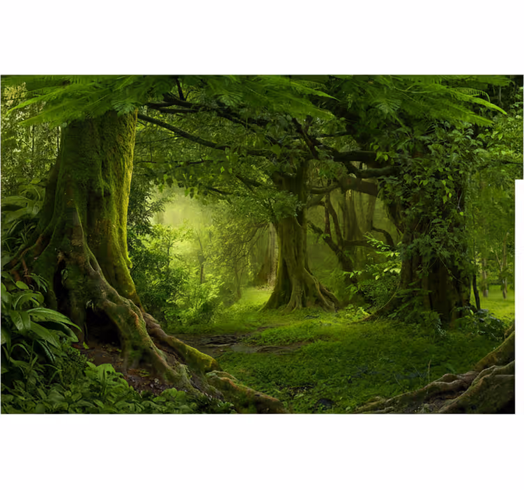 Tapisserie forêt Évasion luxuriante en pleine nature - TenStickers