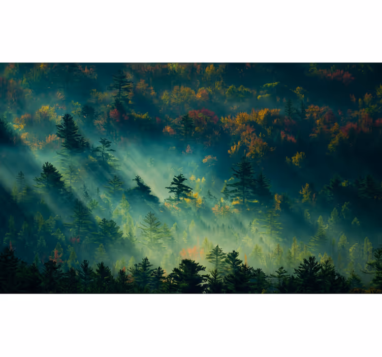 Tapisserie forêt la forêt mélancolique - TenStickers