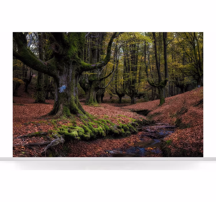 Tapisserie forêt forêt enchantée d'automne - TenStickers