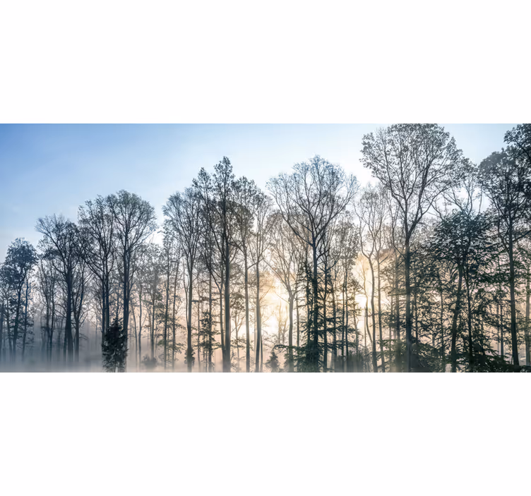 Tapisserie forêt prairie brumeuse du matin - TenStickers