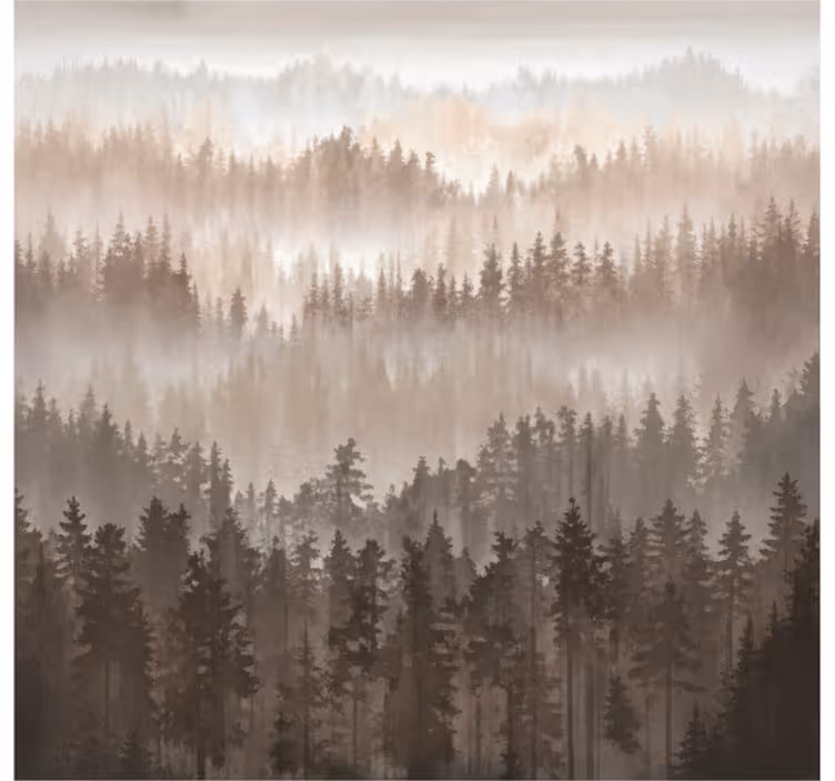 Tapisserie murale paysage couches de forêt en bois - TenStickers