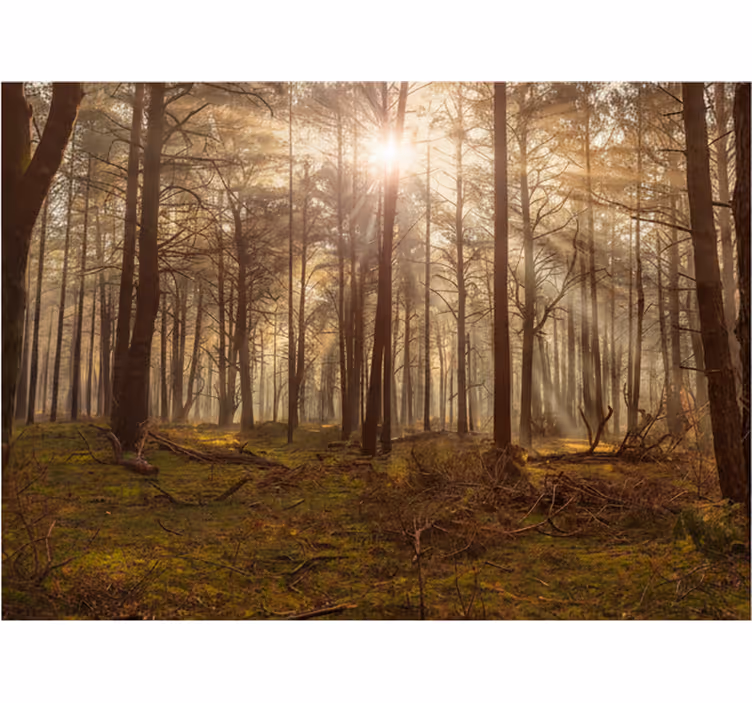 Tapisserie forêt faune dorée dans le salon - TenStickers