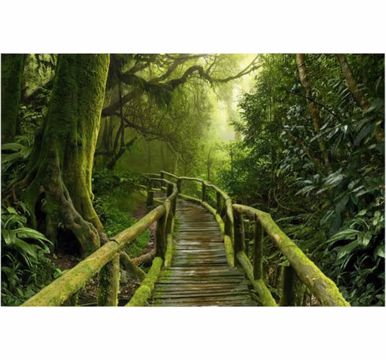 Tapisserie forêt allée mousseux luxuriant - TenStickers