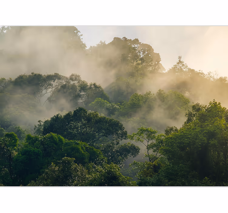 Tapisserie forêt canopée de jungle luxuriante - TenStickers