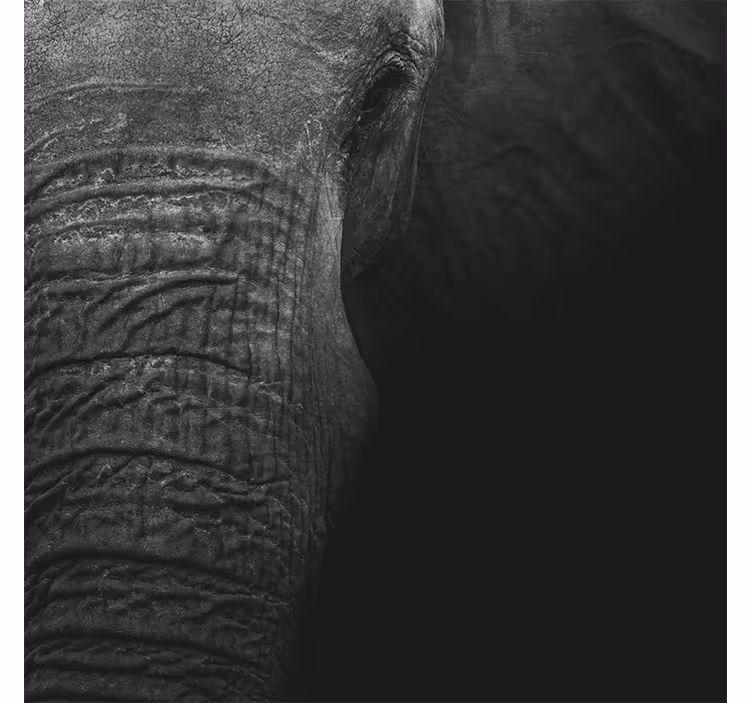 Tapisserie murale africaine éléphant élégant foncé - TenStickers