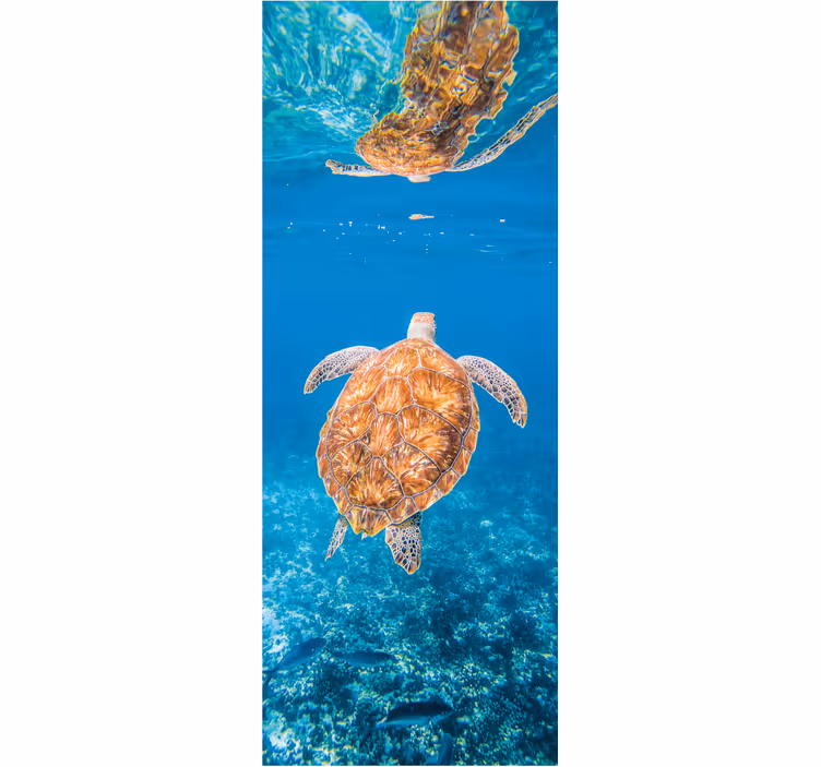 Tapisserie salle de bain belle tortue sous-marine - TenStickers