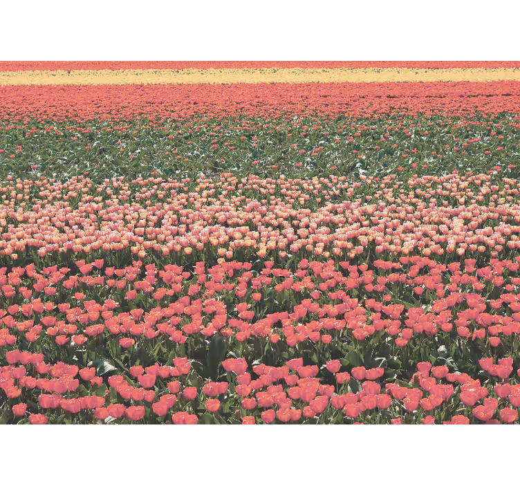 Tapisserie couloir champ de fleurs variées - TenStickers