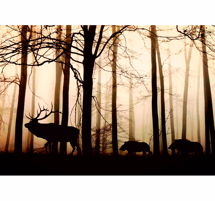 Papier peint forêt animaux forêt - TenStickers