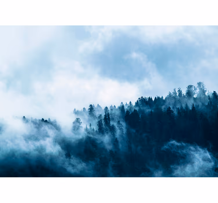 Papier peint forêt brumeuse d'hiver - TenStickers