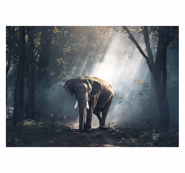Photo murale éléphant dans la forêt - TenStickers