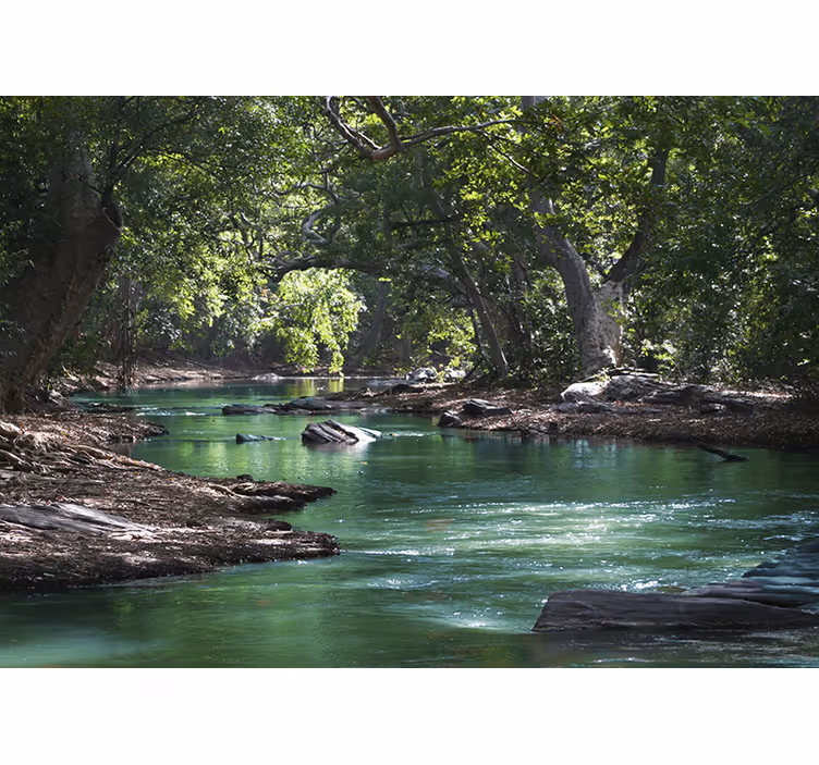 Tapisserie murale forêt et rivière - TenStickers