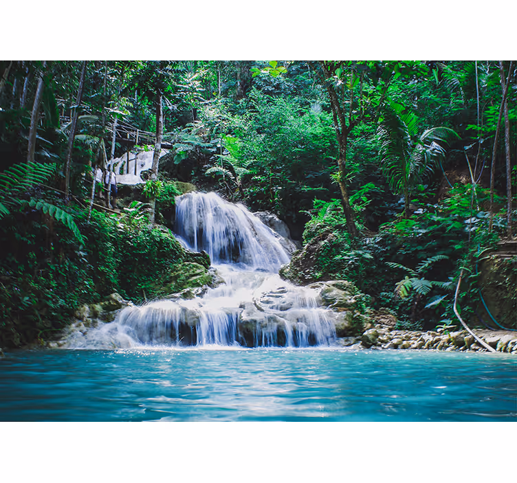 Tapisserie murale cascade d'une forêt tropicale - TenStickers