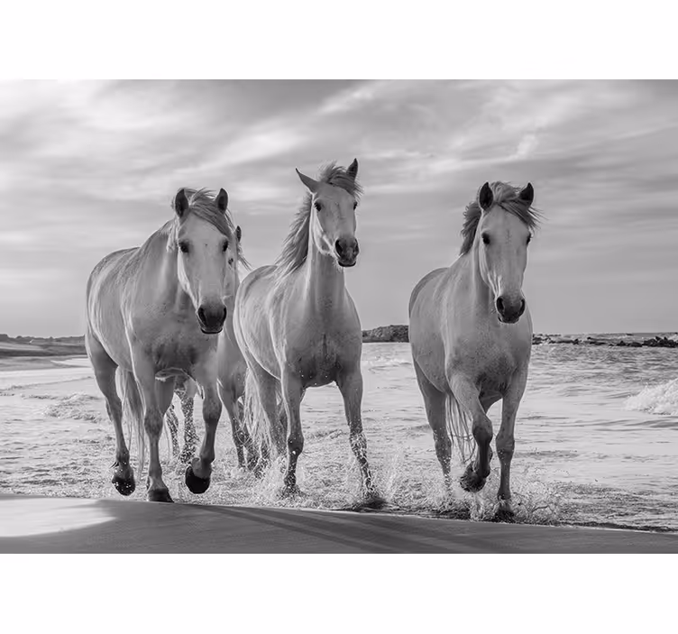 Papier peint d'animaux Chevaux qui courent - TenStickers