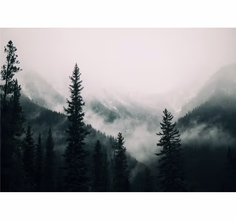 Papier peint mural arbres entre les montagnes - TenStickers