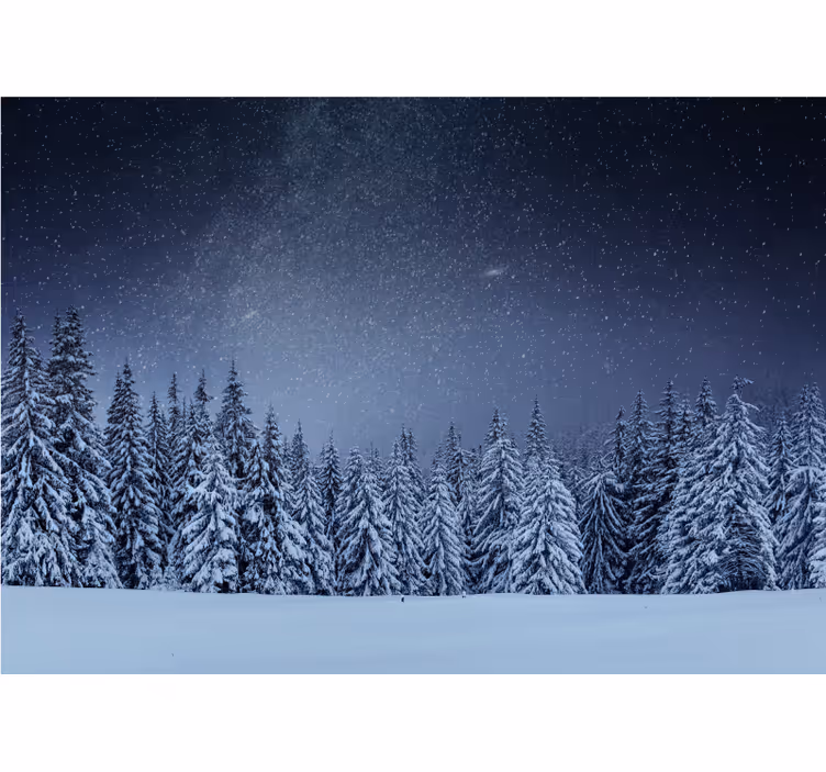 Papier peint arbres Ciel bleu arbres blancs - TenStickers