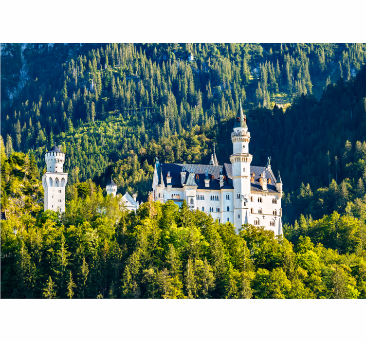 Tapisserie ville vue du château de neuschwanstein - TenStickers