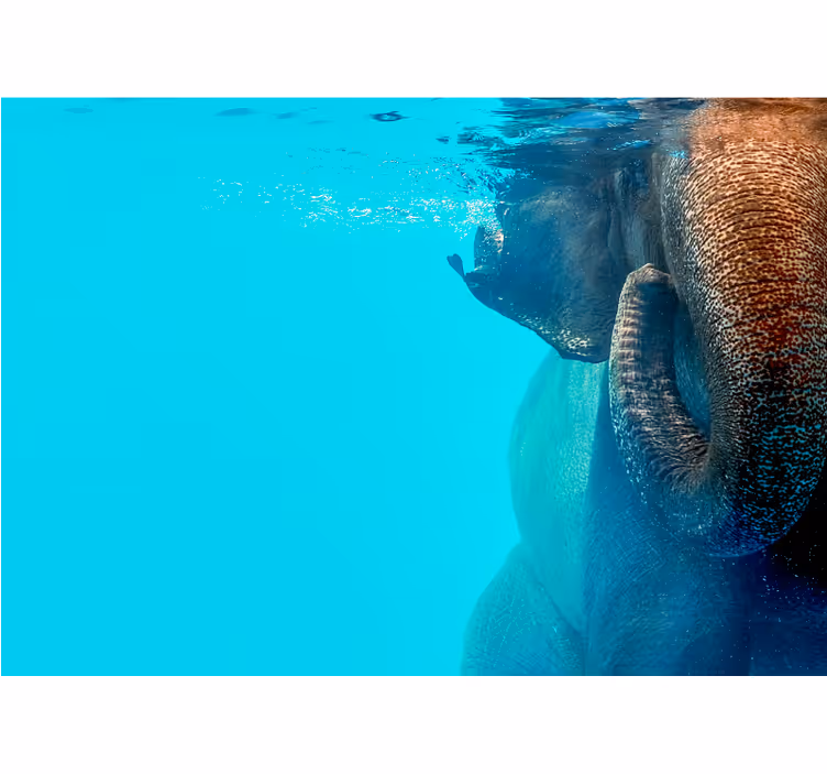 Tapisserie murale animaux éléphant sous-marin majestueux - TenStickers