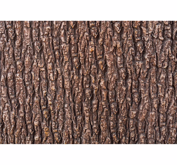 Papier peint bois L'écorce des arbres - TenStickers