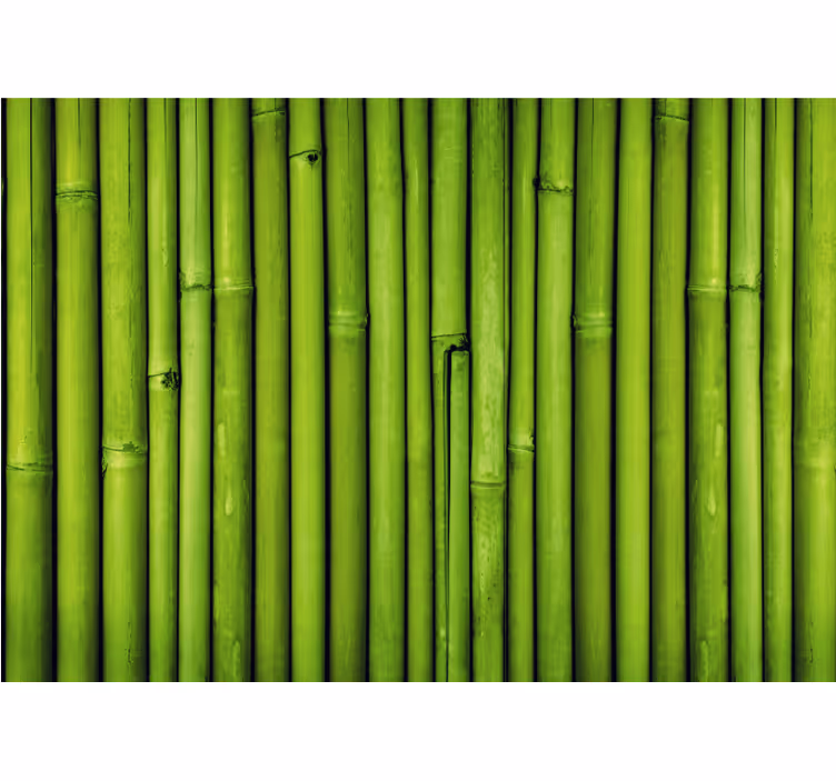 Photo murale salle de bain avec bambous - TenStickers
