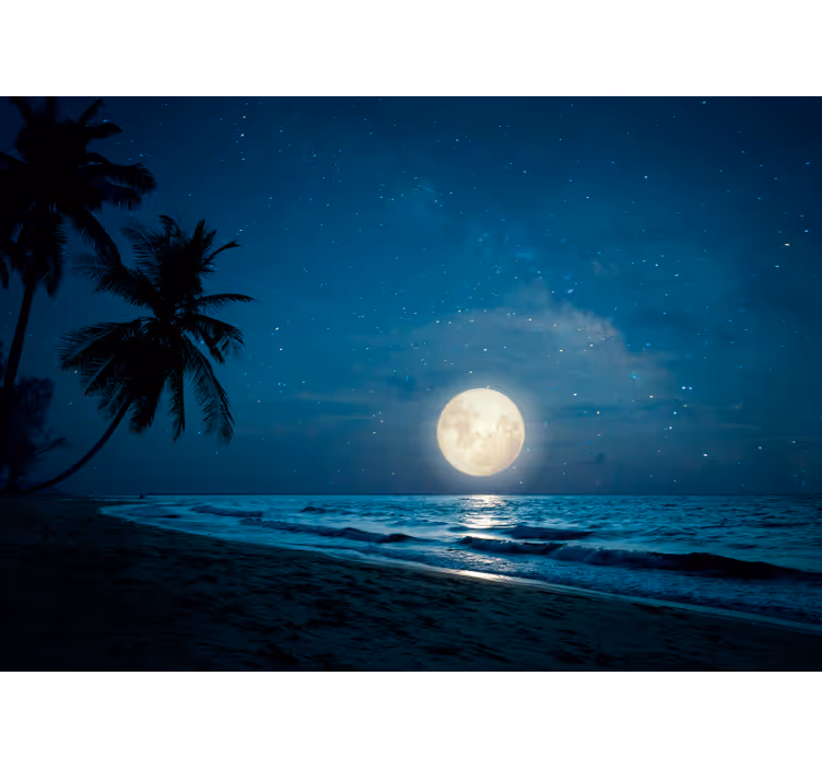 Photo murale chambre paysage mer avec la lune - TenStickers