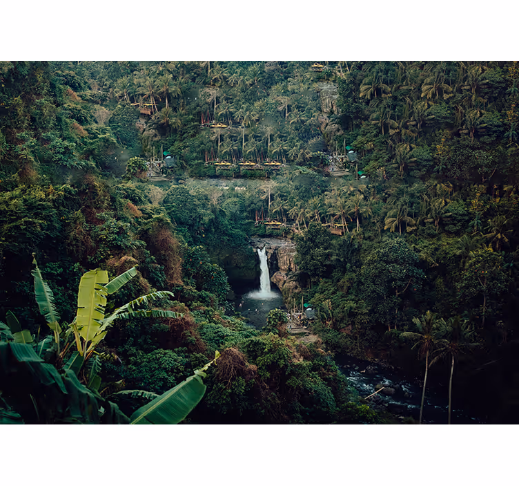 Papier peint mural forets Cascade amazonienne - TenStickers