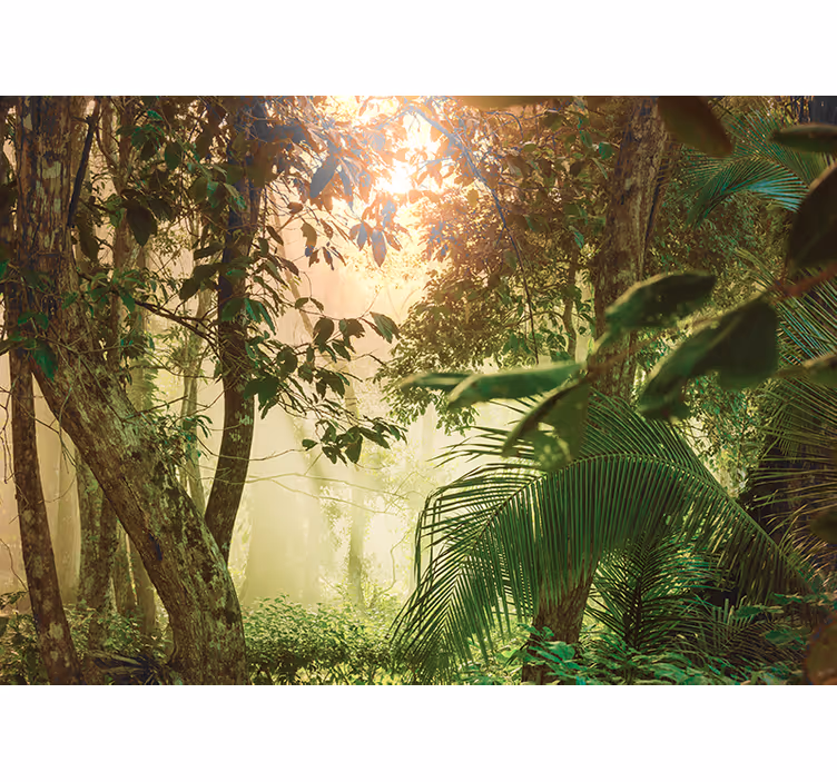 Papier peint mural forets Vie amazonienne - TenStickers