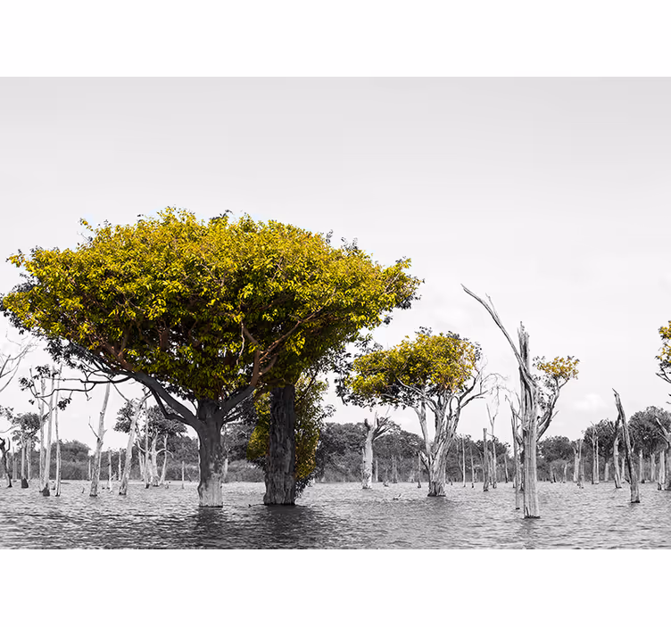 Tapisserie murale africaine grands arbres secs - TenStickers