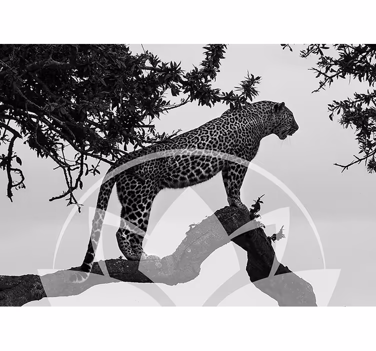 Tapisserie murale animaux léopard dans un arbre - TenStickers